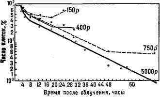 0351-5.jpg