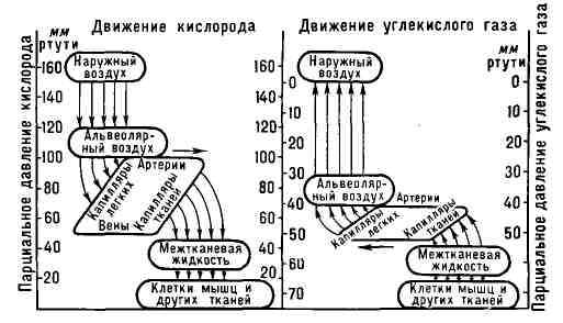 839-9.jpg