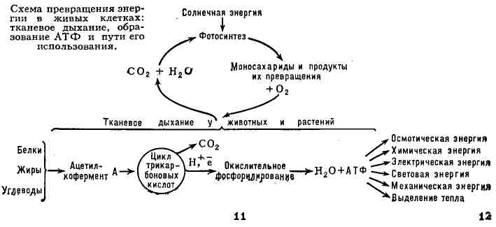 2601-7.jpg